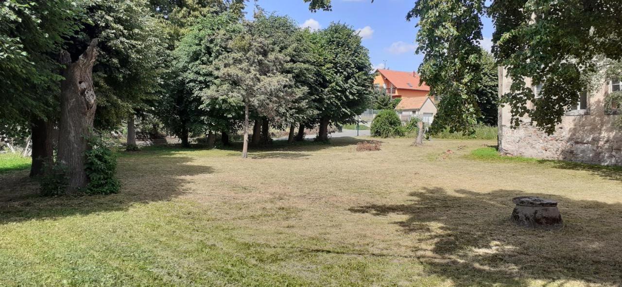 Ferienwohnung Schloss Ottendorf Bahretal Exterior foto